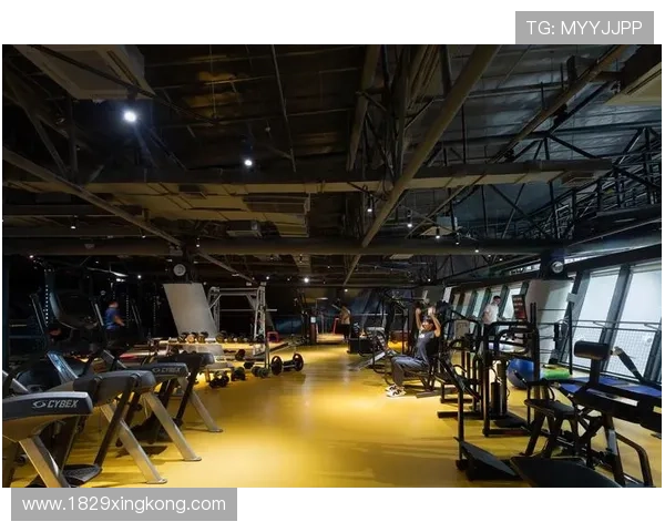 K1体育39153：探索全新体育赛事的魅力与激情