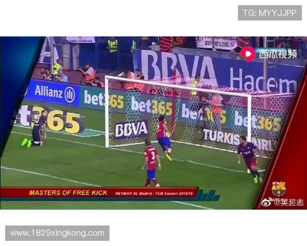 乐鱼体育的安全性与用户隐私保护措施